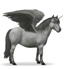 Pegasus PNG images