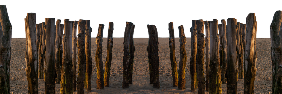 beach-2961671_1280.png