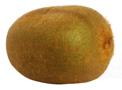 Kiwifruit-PNG-Image2.png