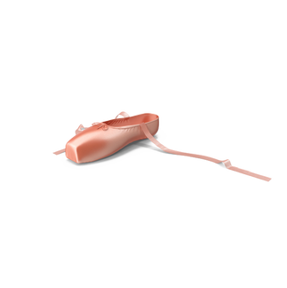 Ballet shoes (7).png