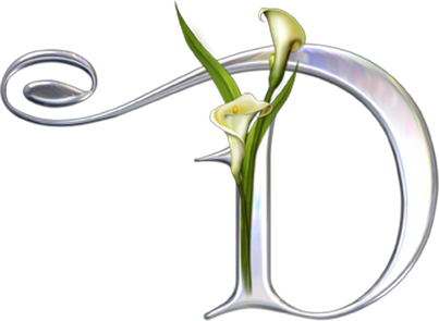 Letter D PNG