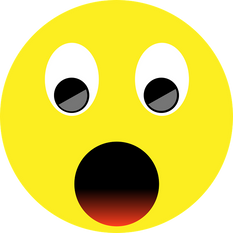 2cd43b_6eaa7fee82494bf0b07e29d0bbb13698~mv2.png