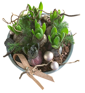 hyacinths-3035315_960_720.png