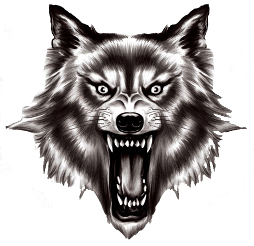 Wolf PNG images