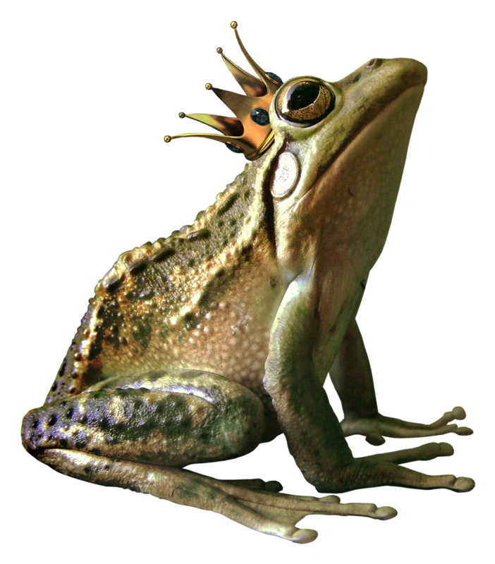 Frog PNG images