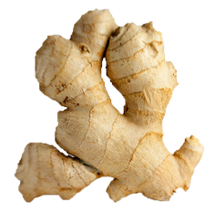 Ginger PNGs