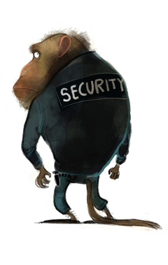PNG images: Monkey