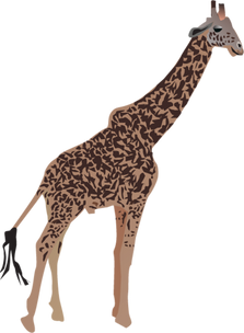 PNG images: Giraffe
