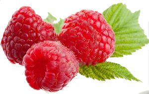 Raspberry PNG