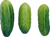 Cucumber, free PNGs
