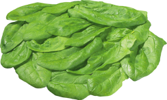 Salad, free PNGs