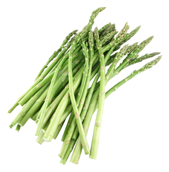 Asparagus-PNG-Image2.png