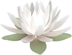 Assorted flowers (20).png
