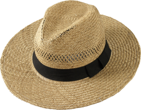 Hat, free PNGs