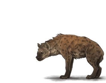 Hyena (21).png