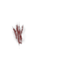 Scratches, free transparent images