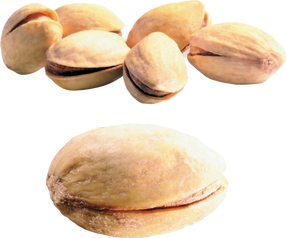 Pistachio PNG