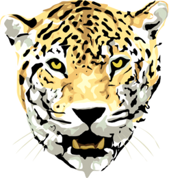 PNG images: Leopard