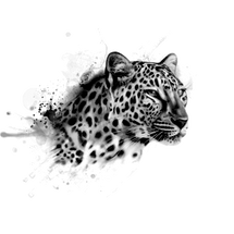 PNG images: Leopard