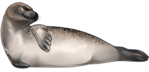 Seal PNG images