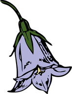 harebell-146854__340.png