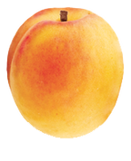 Apricot PNG