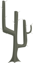 cactus-575562__340.png
