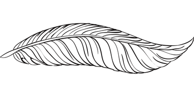 pen-1674851__340.png