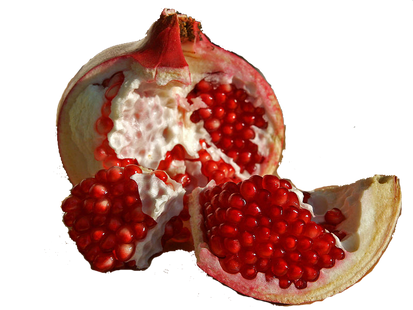 Pomegranate PNG