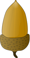 acorn-23918__340.png