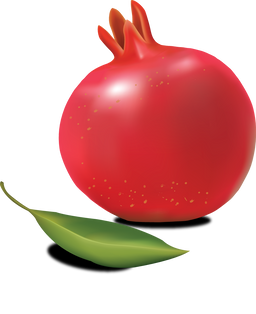Pomegranate PNG