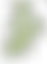 Bamboo PNG images