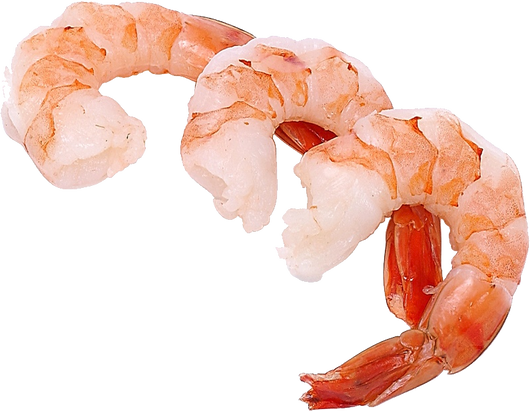 Free shrimp png images.