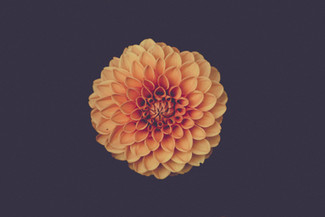 Cossyimages-Art- (5).jpeg