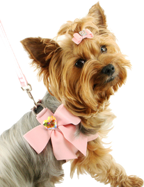Free png dog images.
