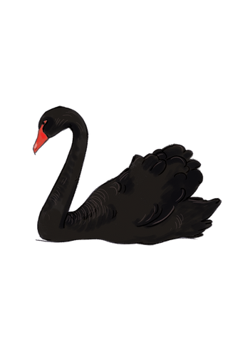 Swan transparent images