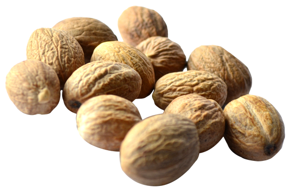 Walnut PNG
