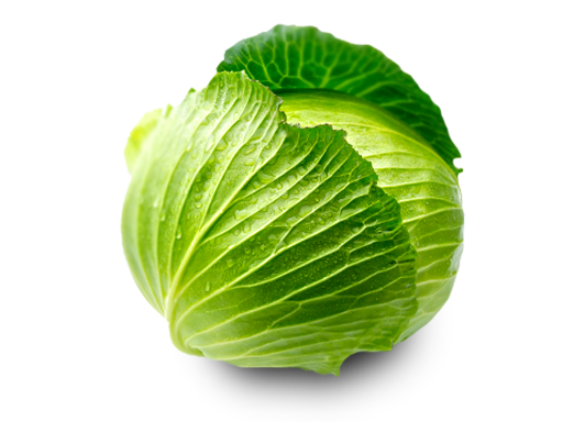 Cabbage, free PNGs