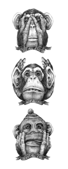 PNG images: Monkey