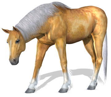 Free horse png images.