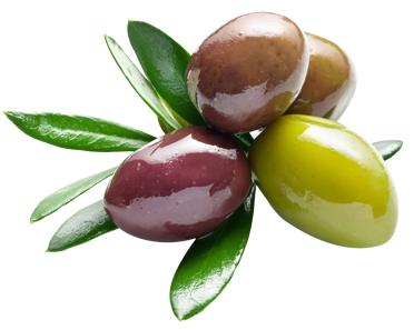 Olives PNG