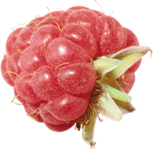 Raspberry PNG