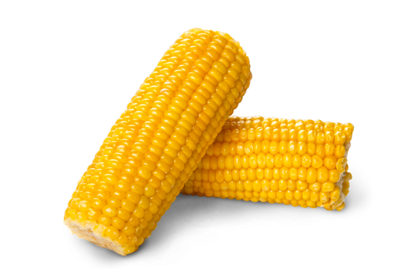 Corn, free PNGs