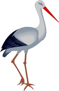 Stork free transparent images