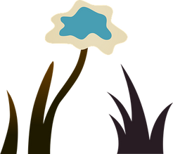 flower-576294__340.png