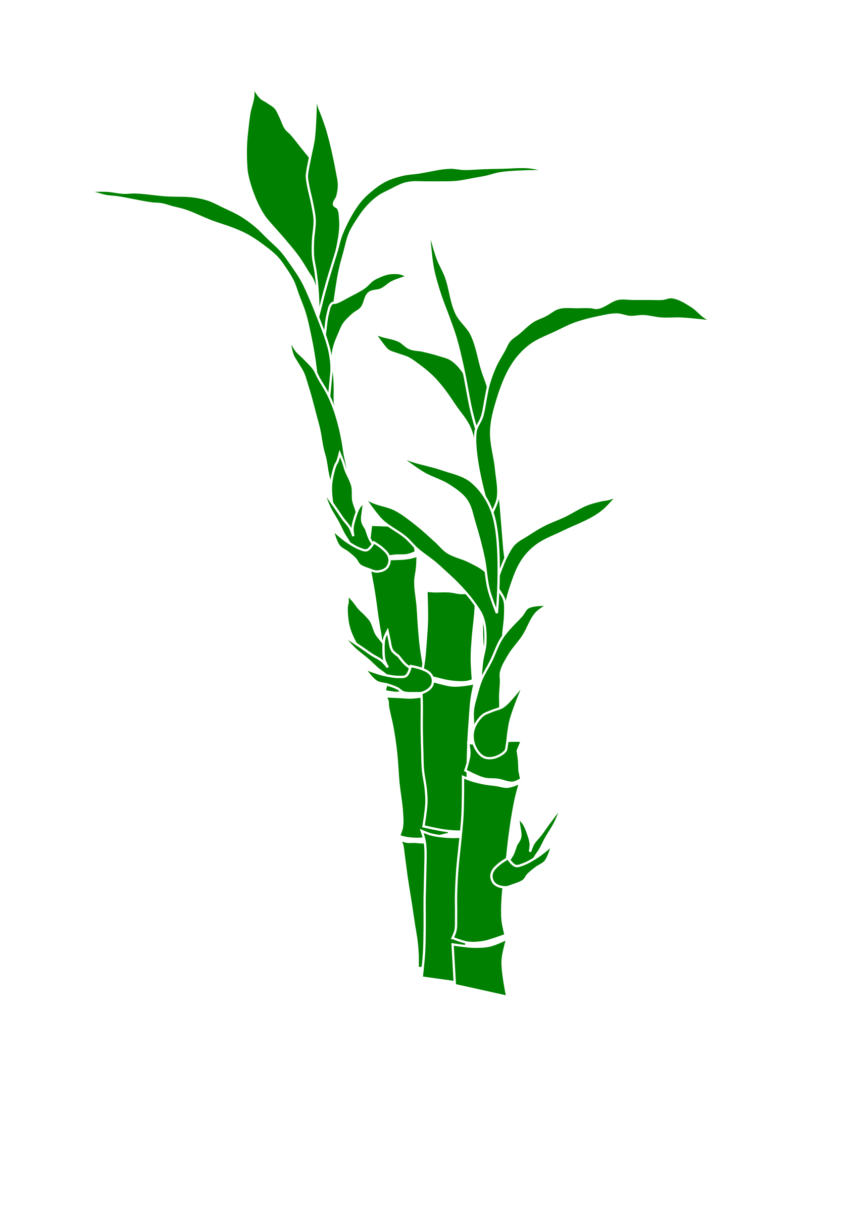 Bamboo PNG images