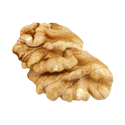 Walnut PNG