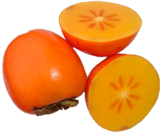 Persimmon PNG