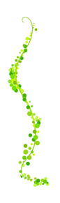 Vines (19).png