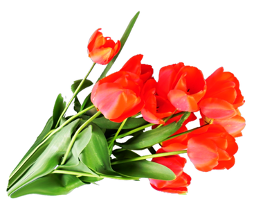 Bouquet (61).png